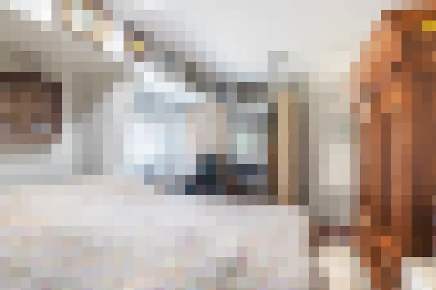 Fiskbuorren 34 Ternaard thumbnail 37