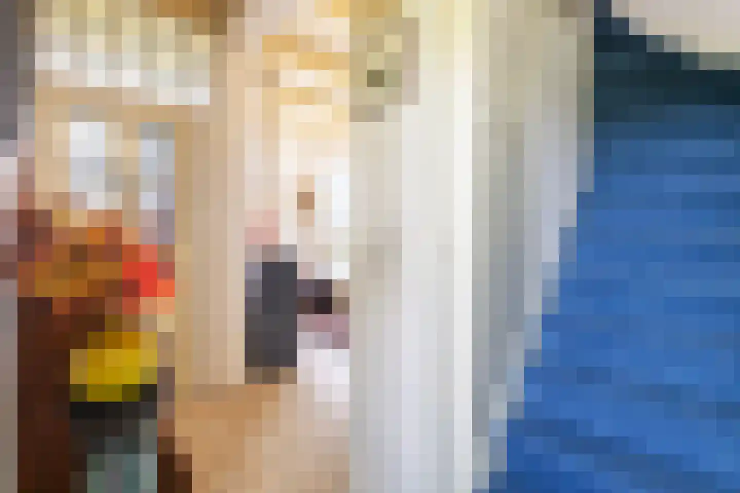 Fiskbuorren 34 Ternaard thumbnail 41