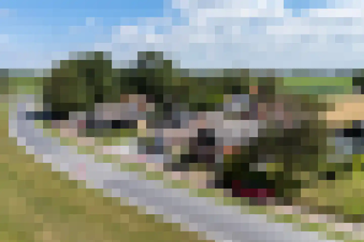 Fiskbuorren 34 Ternaard thumbnail 5