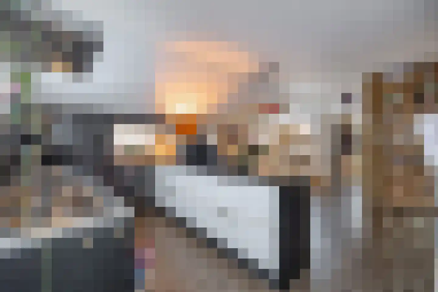 Fiskbuorsterwei 10 Ternaard thumbnail 18