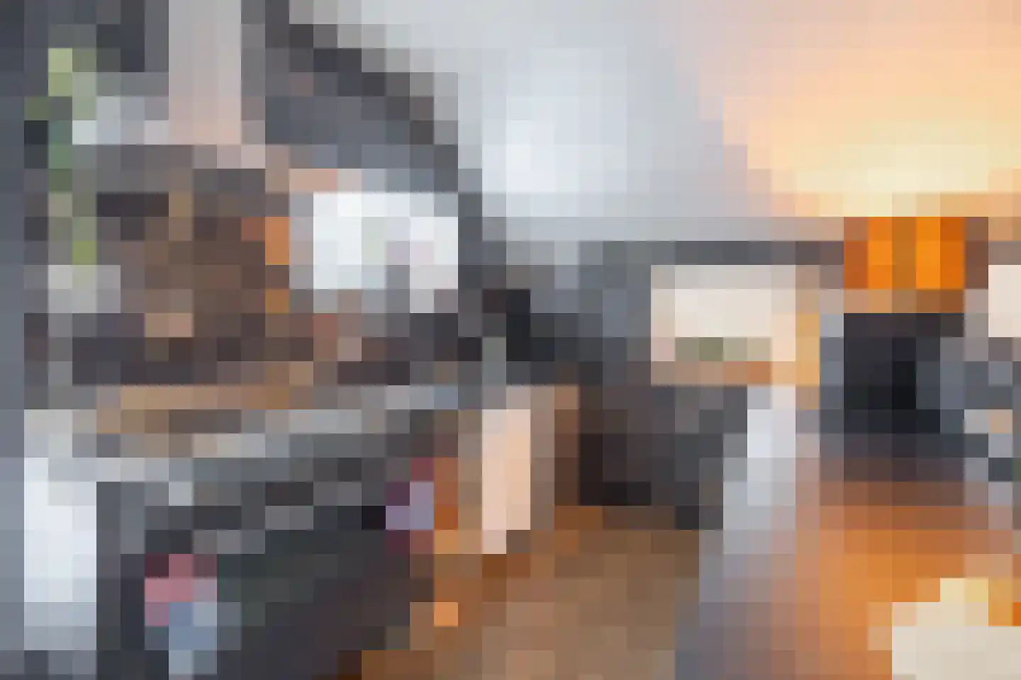 Fiskbuorsterwei 10 Ternaard thumbnail 19