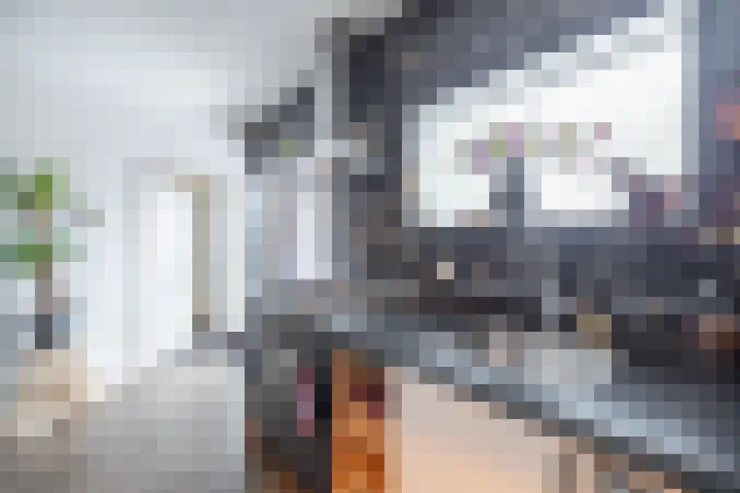 Fiskbuorsterwei 10 Ternaard thumbnail 20
