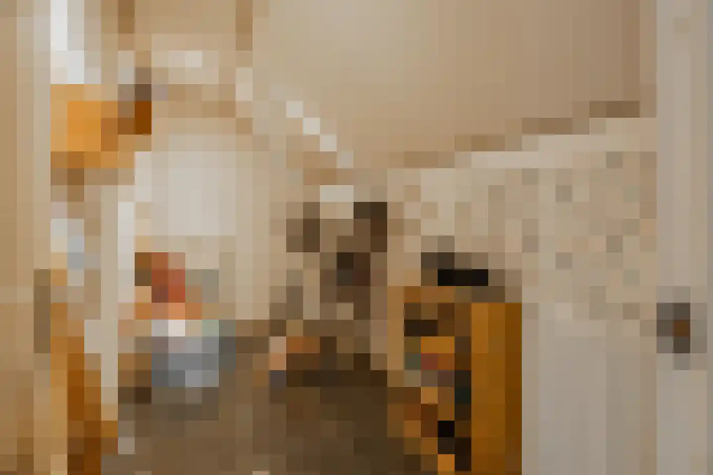 Fiskbuorsterwei 10 Ternaard thumbnail 24