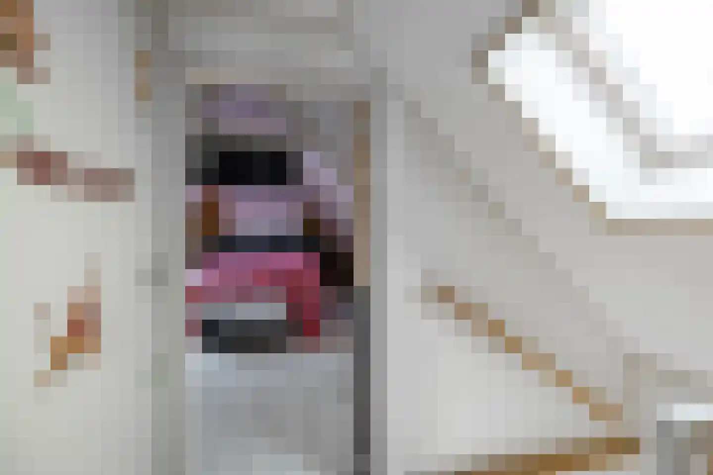 Fiskbuorsterwei 10 Ternaard thumbnail 27
