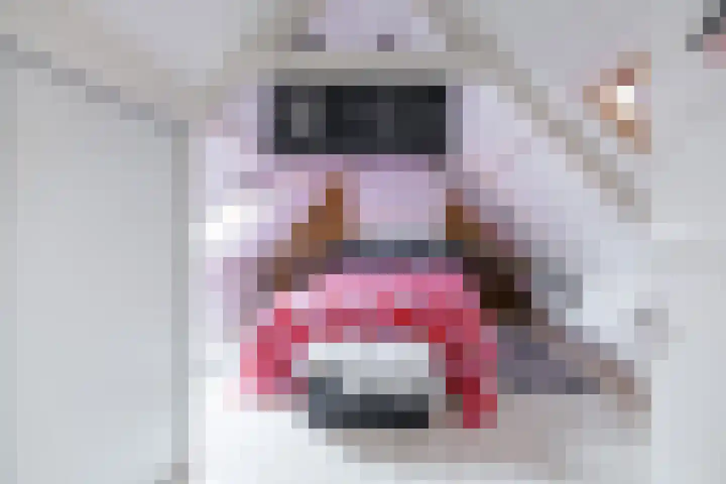 Fiskbuorsterwei 10 Ternaard thumbnail 28