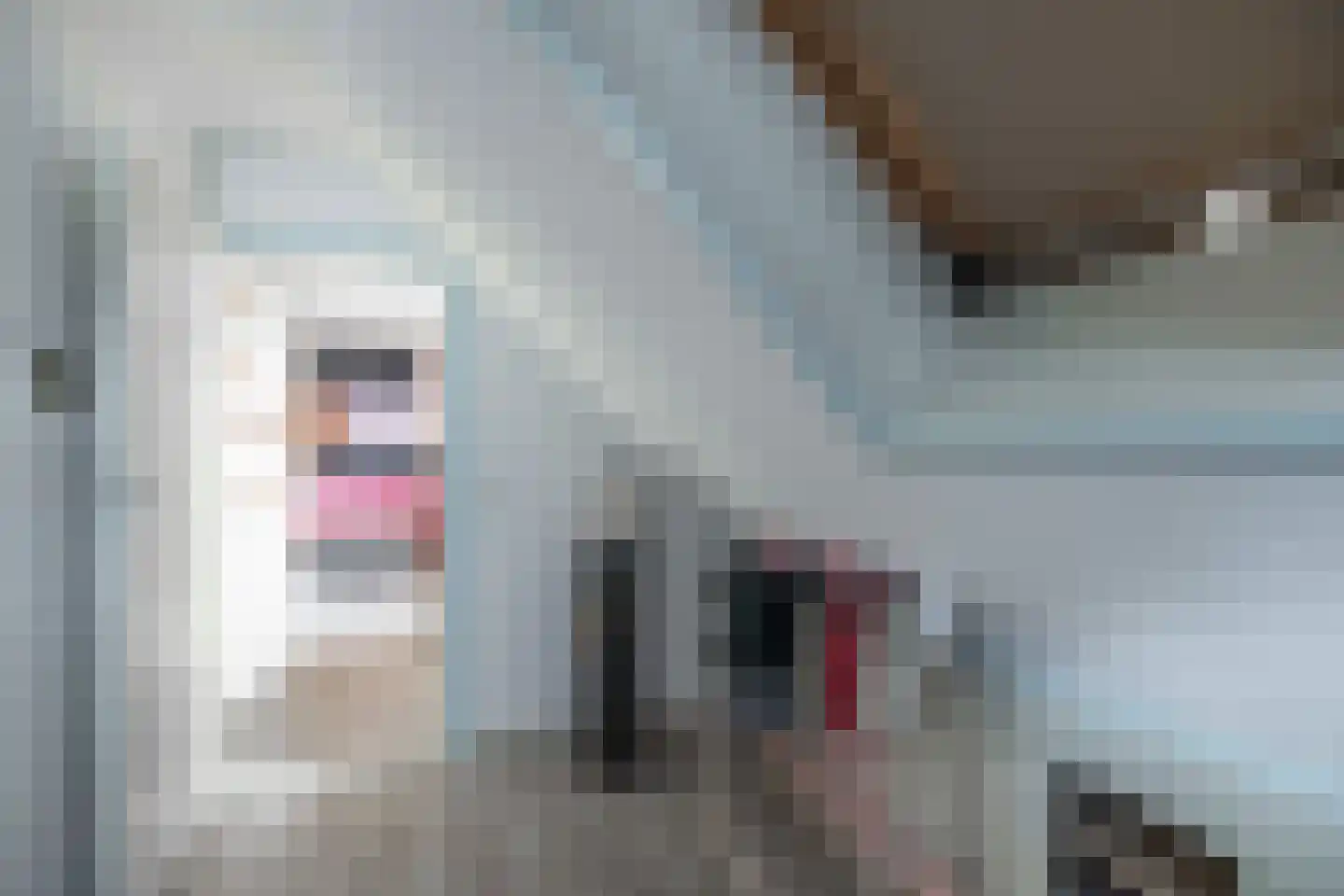 Fiskbuorsterwei 10 Ternaard thumbnail 30
