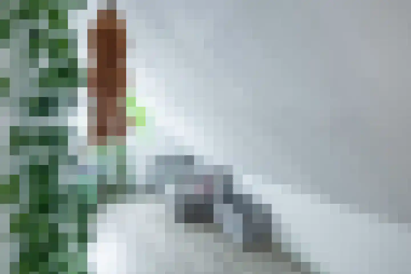 Fiskbuorsterwei 10 Ternaard thumbnail 33