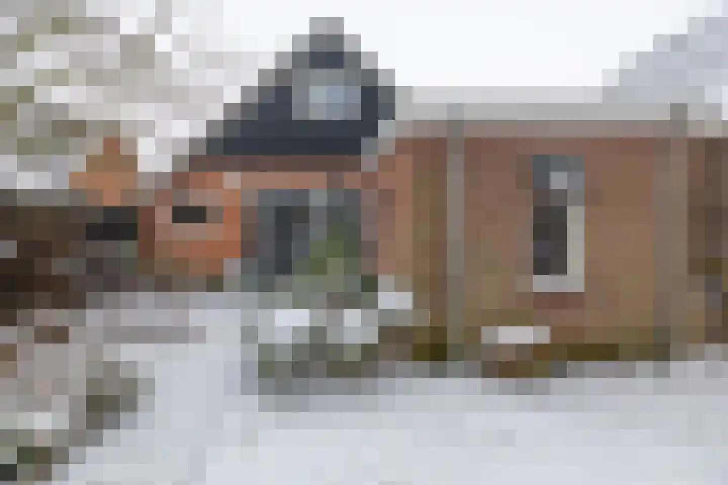 Fiskbuorsterwei 10 Ternaard thumbnail 36