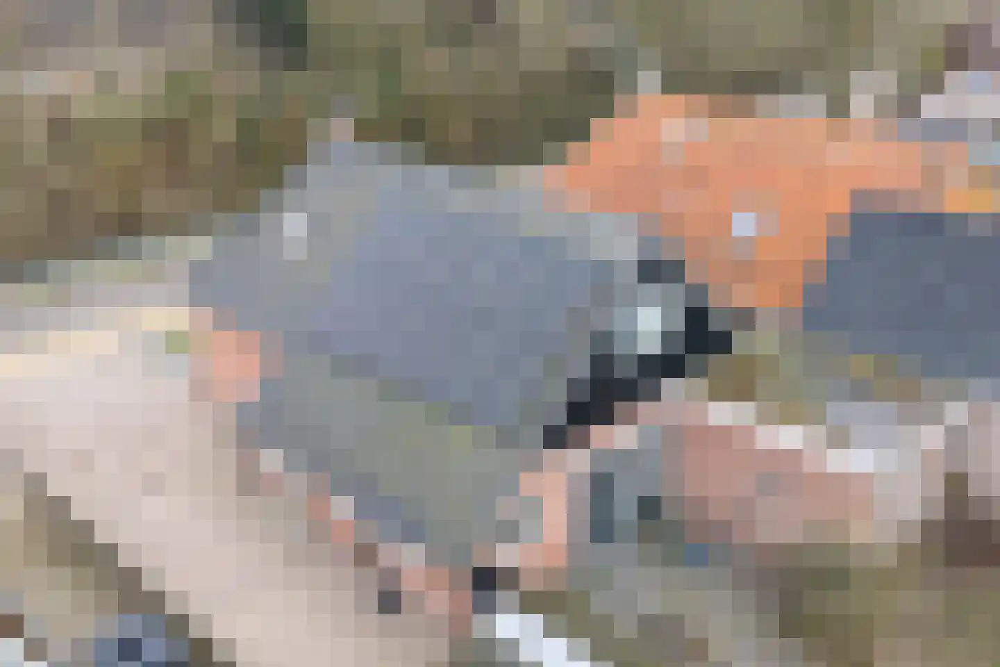 Fiskbuorsterwei 10 Ternaard thumbnail 37