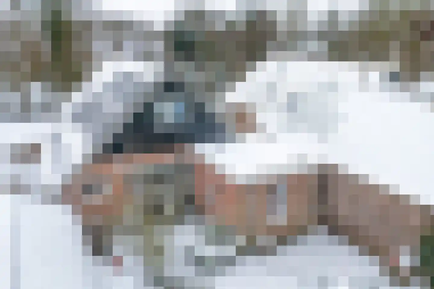 Fiskbuorsterwei 10 Ternaard thumbnail 38