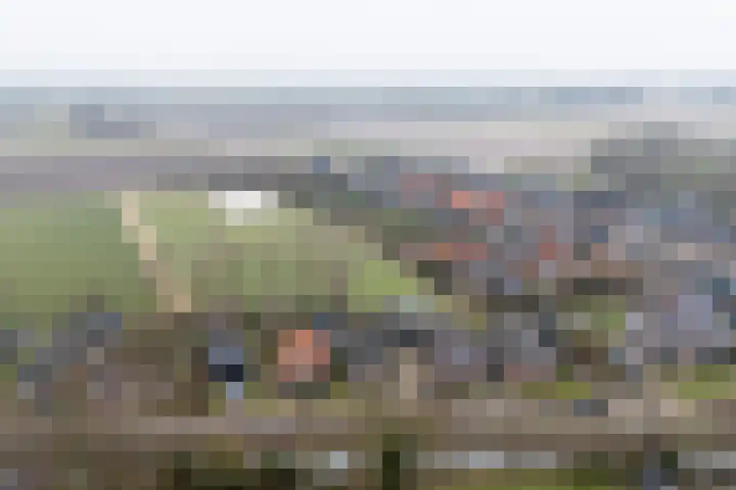 Fiskbuorsterwei 10 Ternaard thumbnail 4
