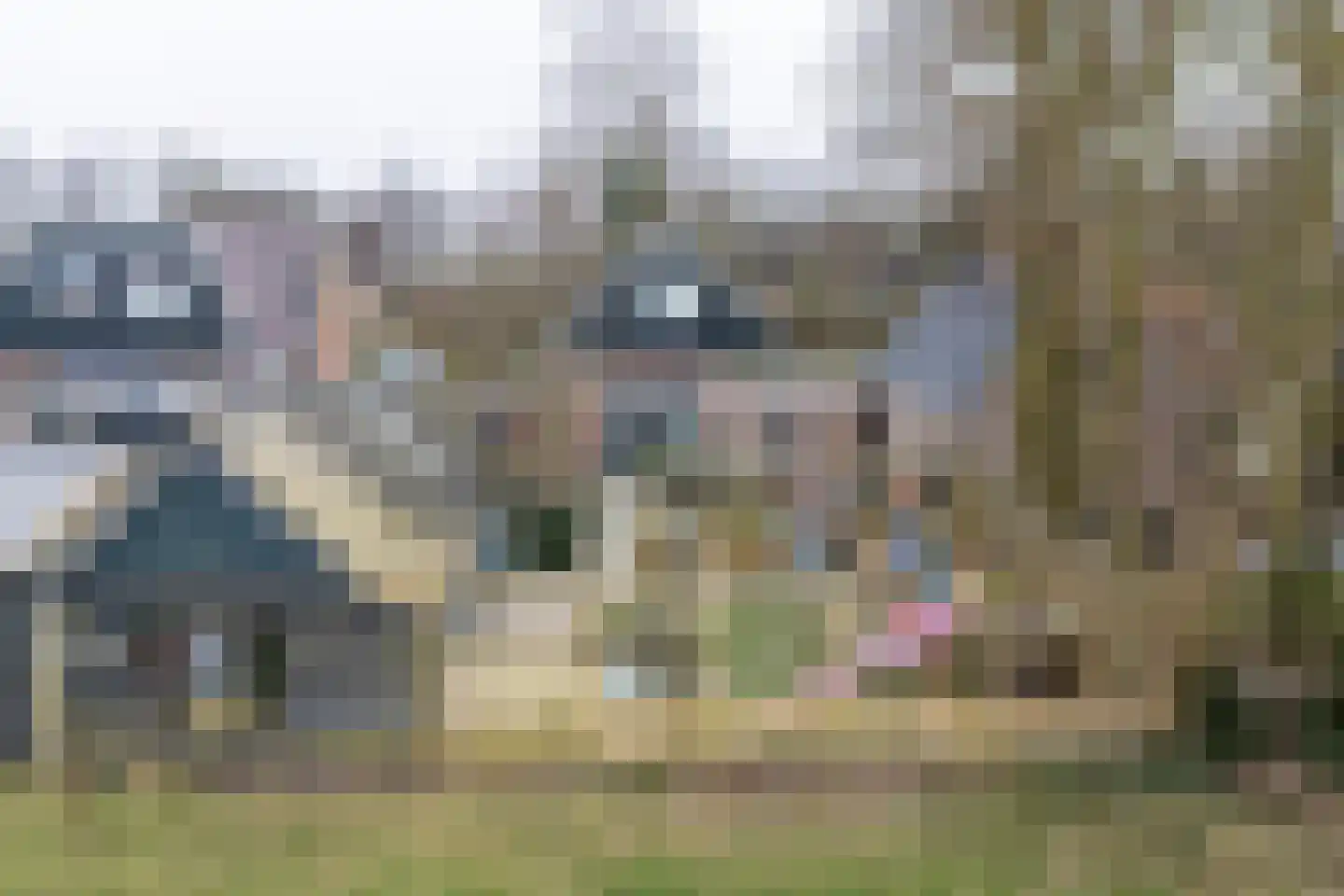 Fiskbuorsterwei 10 Ternaard thumbnail 40