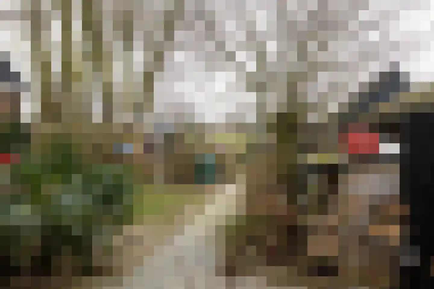 Fiskbuorsterwei 10 Ternaard thumbnail 41