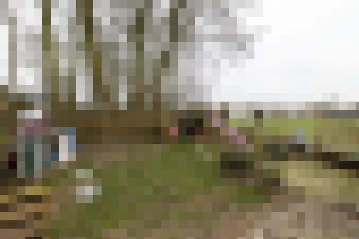 Fiskbuorsterwei 10 Ternaard thumbnail 42