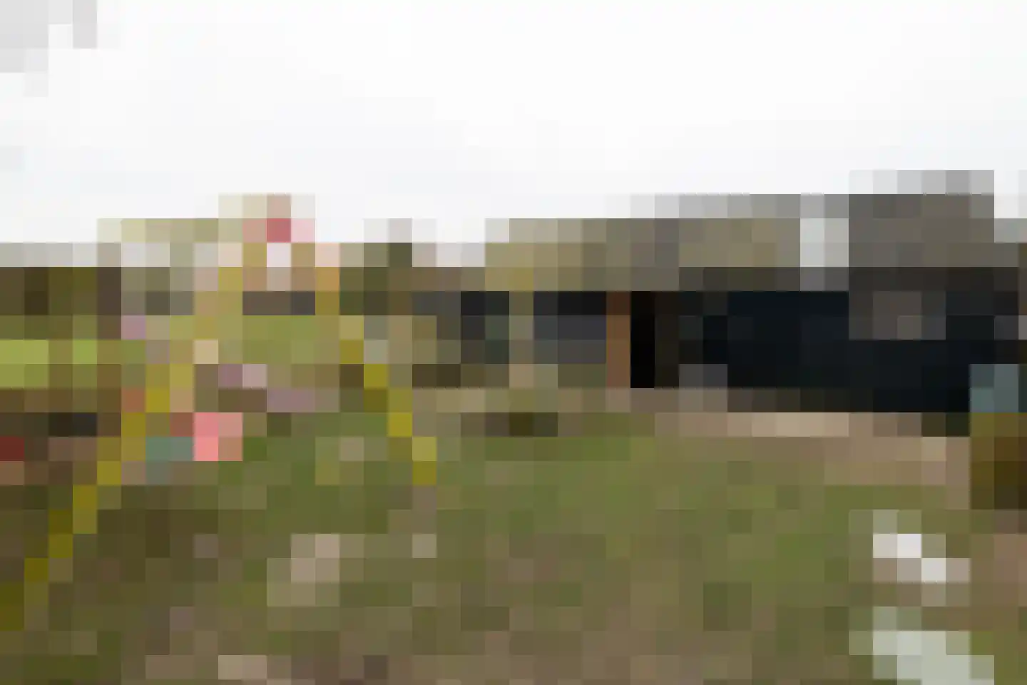 Fiskbuorsterwei 10 Ternaard thumbnail 43