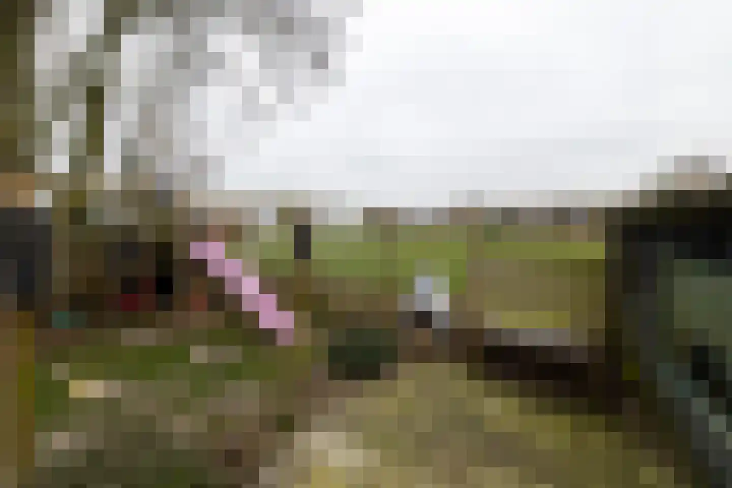 Fiskbuorsterwei 10 Ternaard thumbnail 44