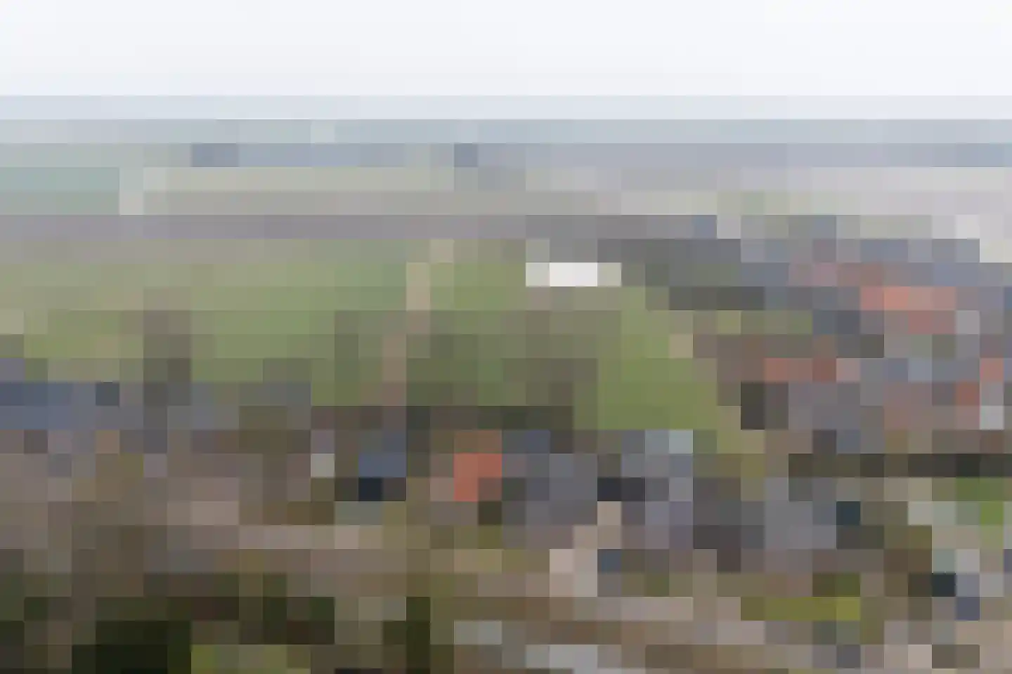 Fiskbuorsterwei 10 Ternaard thumbnail 45