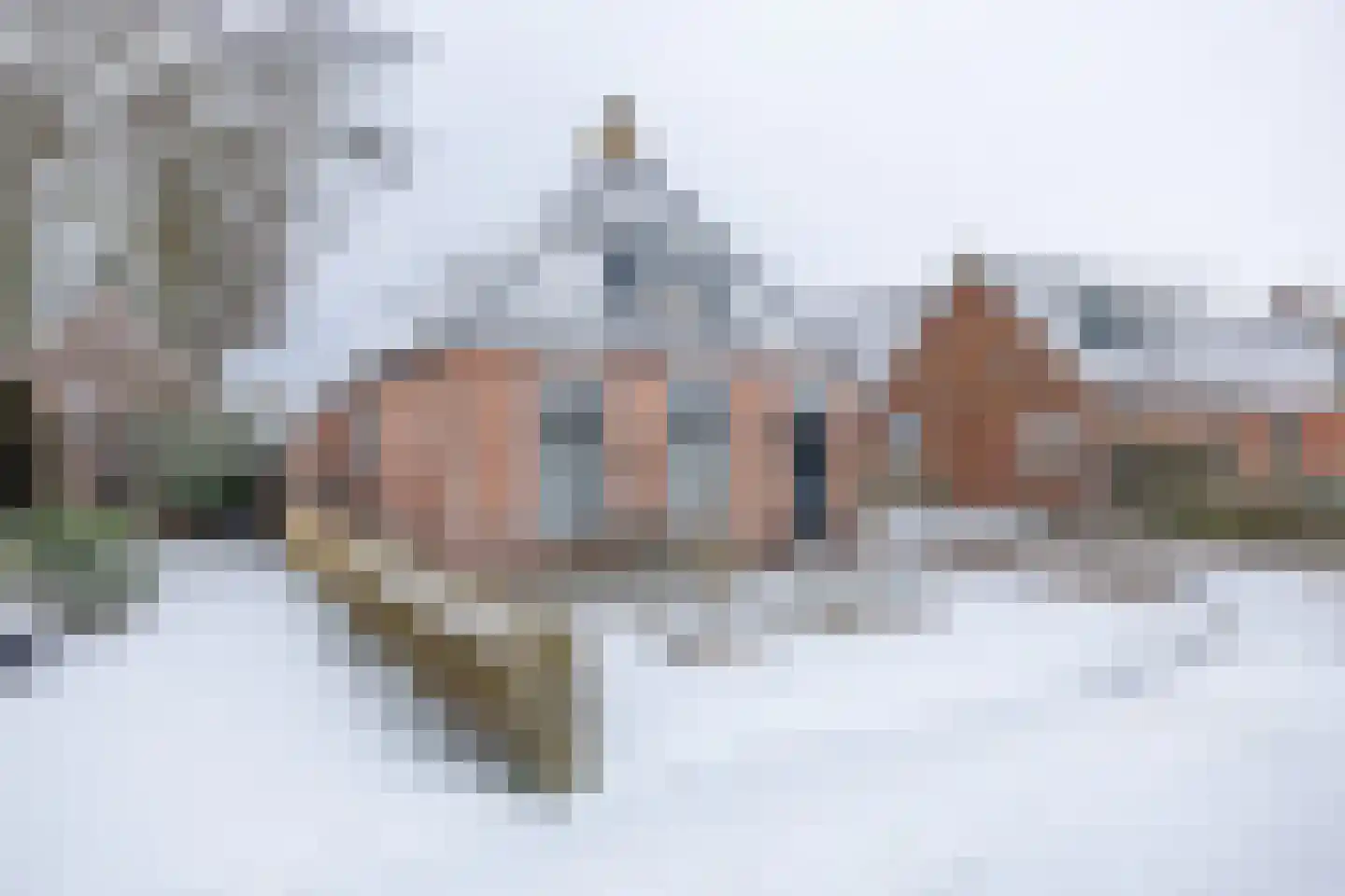 Fiskbuorsterwei 10 Ternaard thumbnail 7