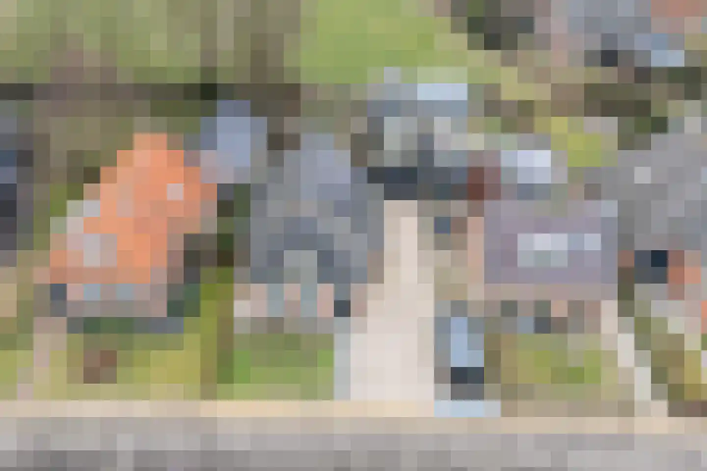 Fiskbuorsterwei 10 Ternaard thumbnail 8