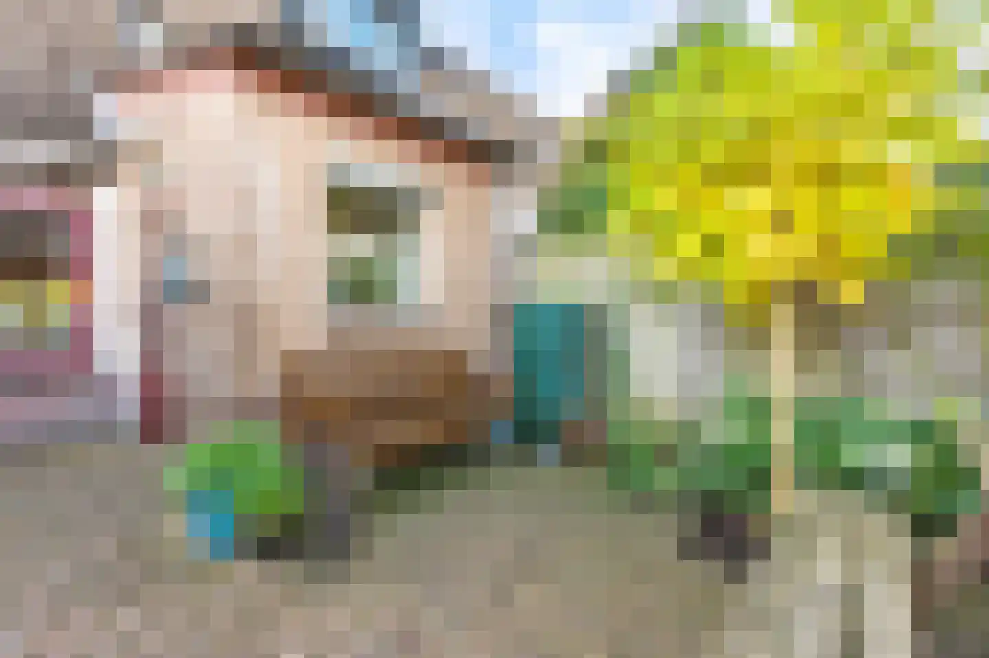 Fitislaan 11 Apeldoorn thumbnail 17