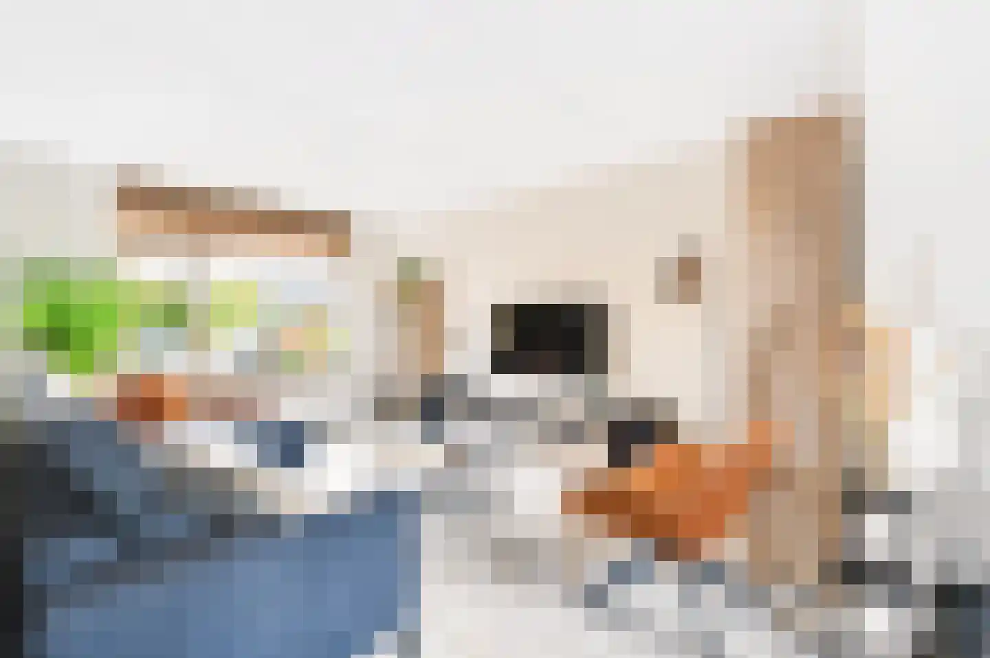 Fitislaan 11 Apeldoorn thumbnail 4