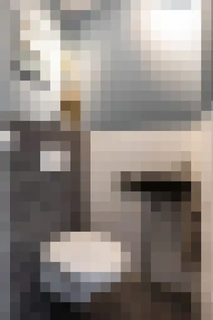Fitislaan 3 Apeldoorn thumbnail 13