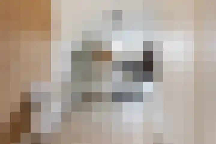 Fitislaan 3 Apeldoorn thumbnail 15