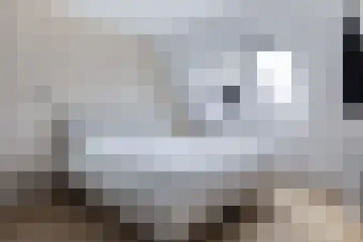 Fitislaan 3 Apeldoorn thumbnail 17