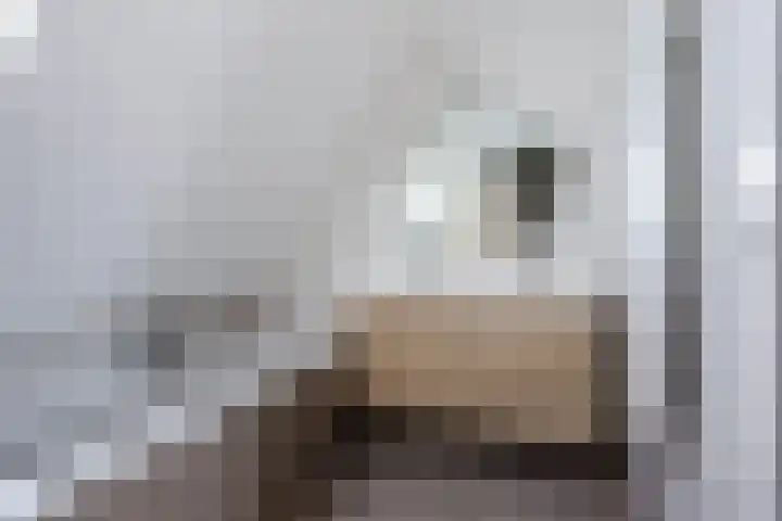 Fitislaan 3 Apeldoorn thumbnail 20