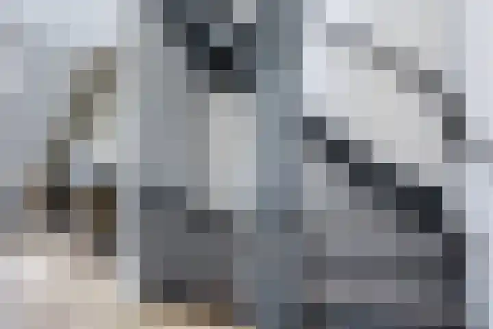 Fitislaan 3 Apeldoorn thumbnail 22