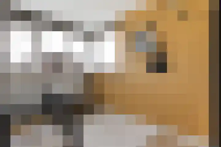 Fitislaan 3 Apeldoorn thumbnail 23