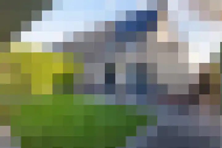 Fitislaan 3 Apeldoorn thumbnail 28
