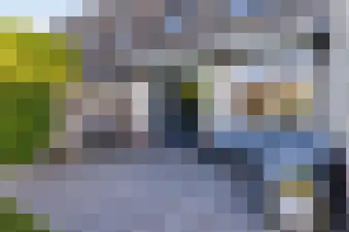 Fitislaan 3 Apeldoorn thumbnail 30