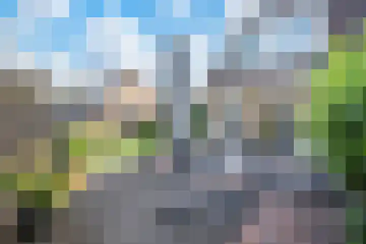 Fitislaan 35 Apeldoorn thumbnail 19