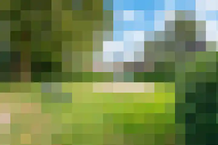 Fitislaan 35 Apeldoorn thumbnail 25