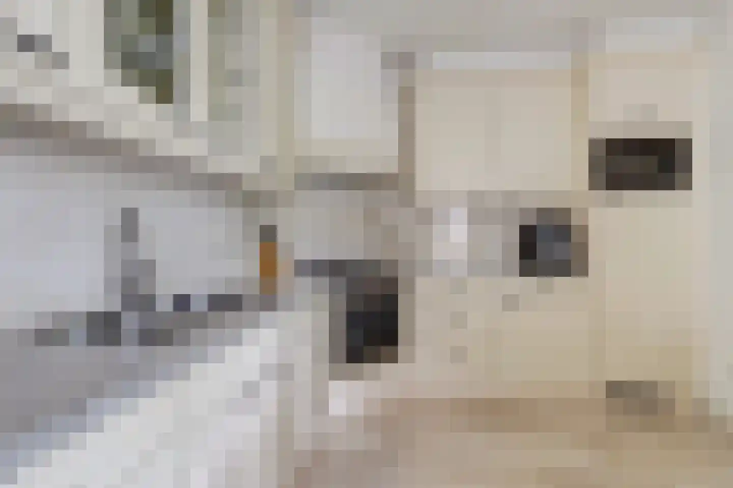 Fitislaan 38 Zeewolde thumbnail 14