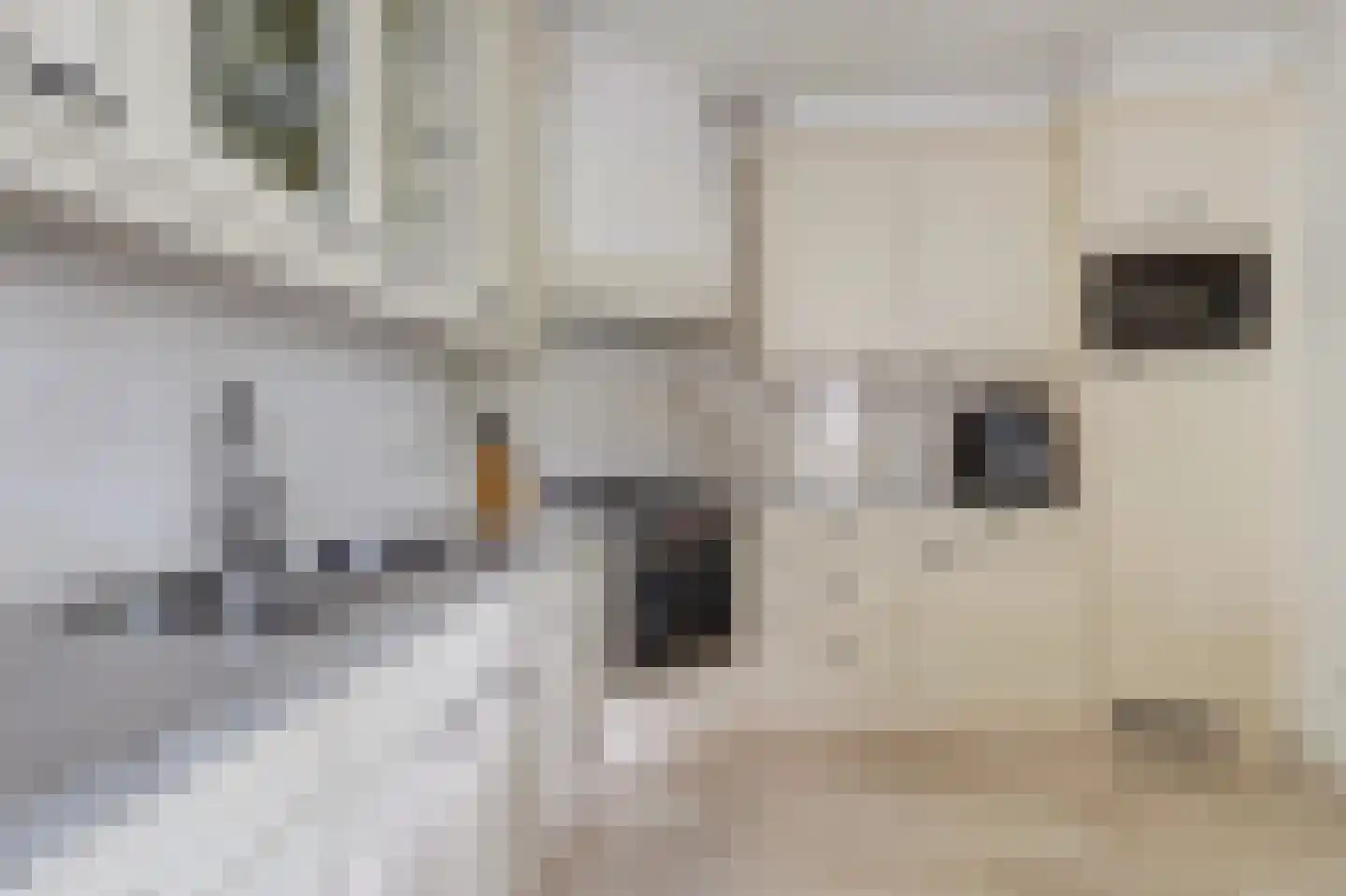 Fitislaan 38 Zeewolde thumbnail 14
