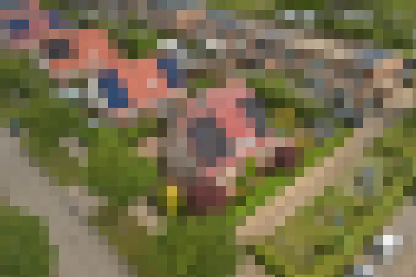 Fitislaan 38 Zeewolde thumbnail 50