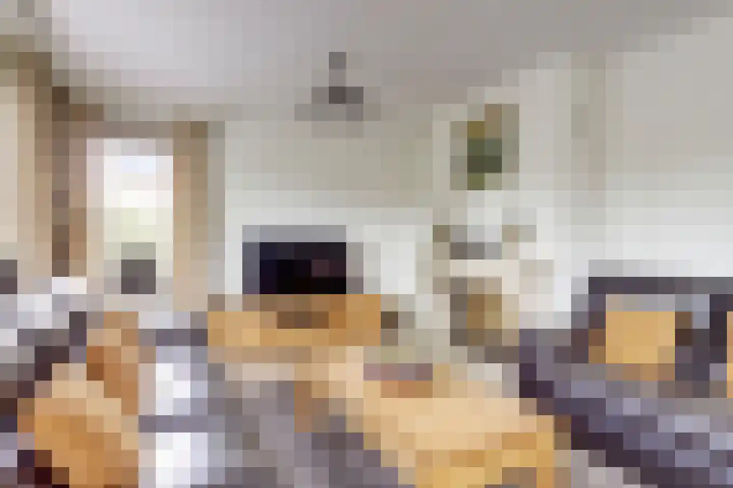 Fitislaan 38 Zeewolde thumbnail 8