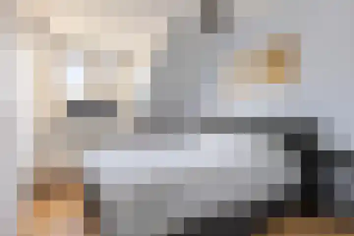 Fitislaan 49 Apeldoorn thumbnail 16