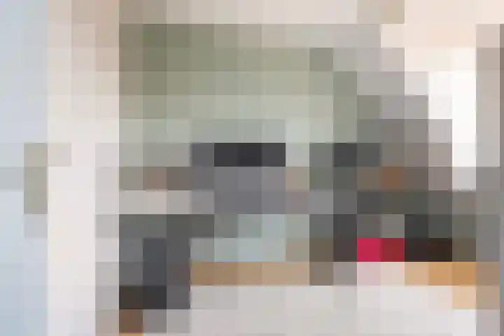 Fitislaan 49 Apeldoorn thumbnail 17