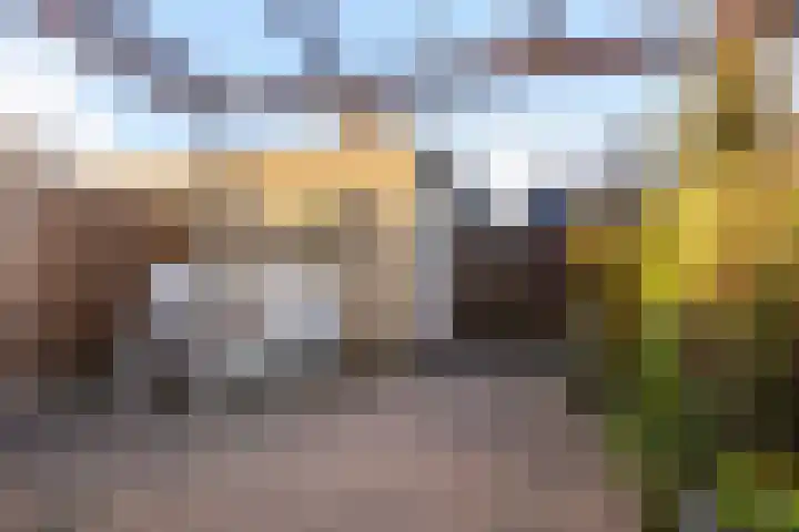 Fitislaan 49 Apeldoorn thumbnail 27