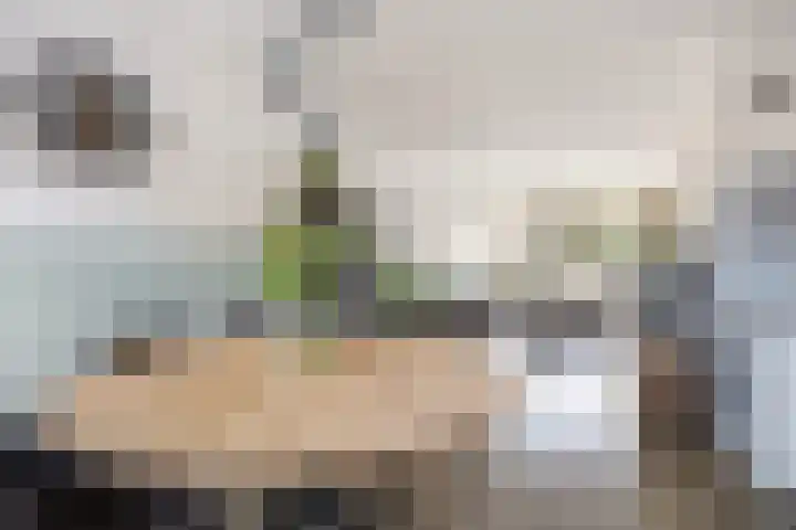 Fitislaan 49 Apeldoorn thumbnail 8