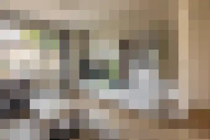 Fitissingel 182 Deurne thumbnail 12