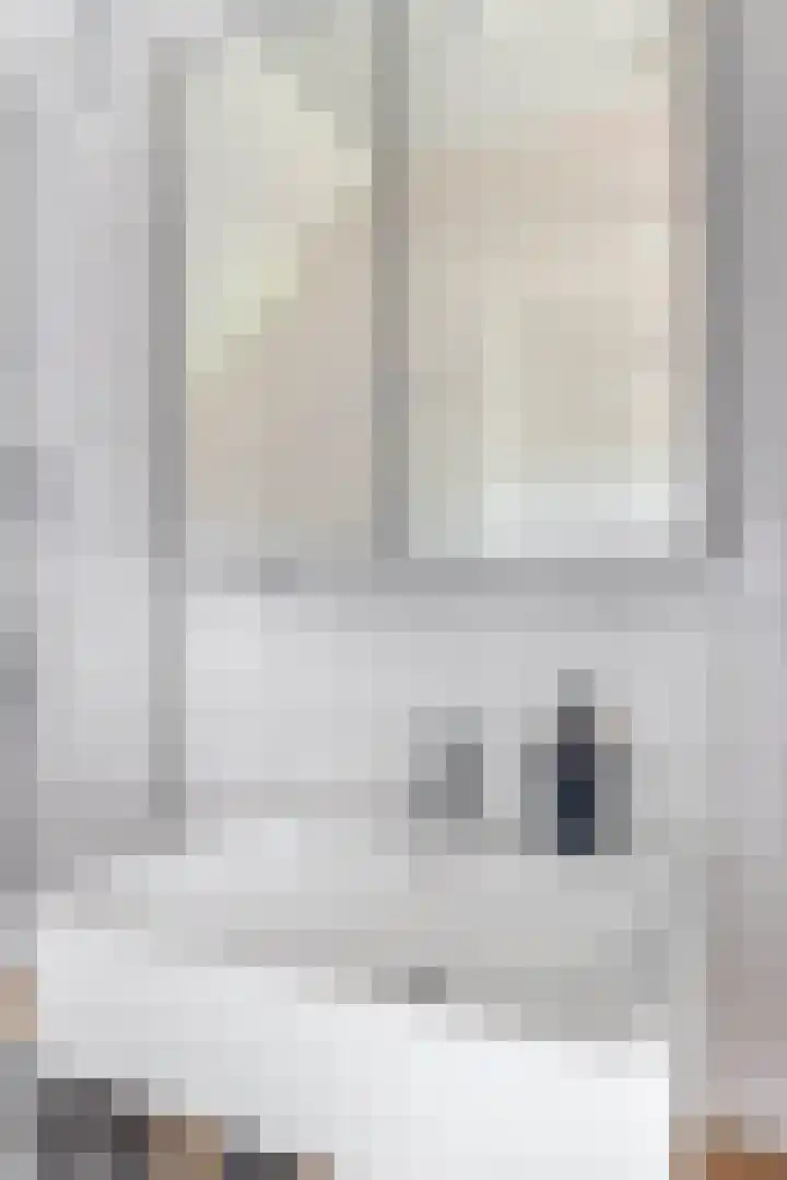 Fitissingel 182 Deurne thumbnail 37