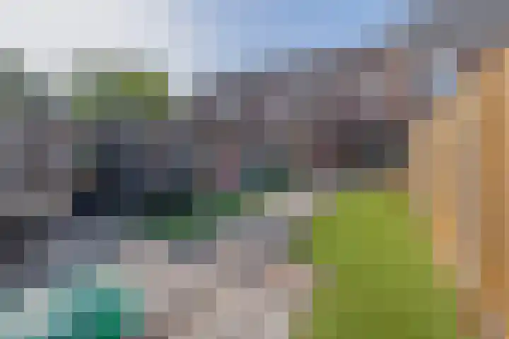 Fitissingel 182 Deurne thumbnail 44