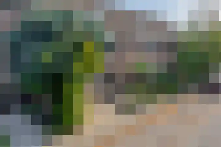 Fitissingel 182 Deurne thumbnail 6