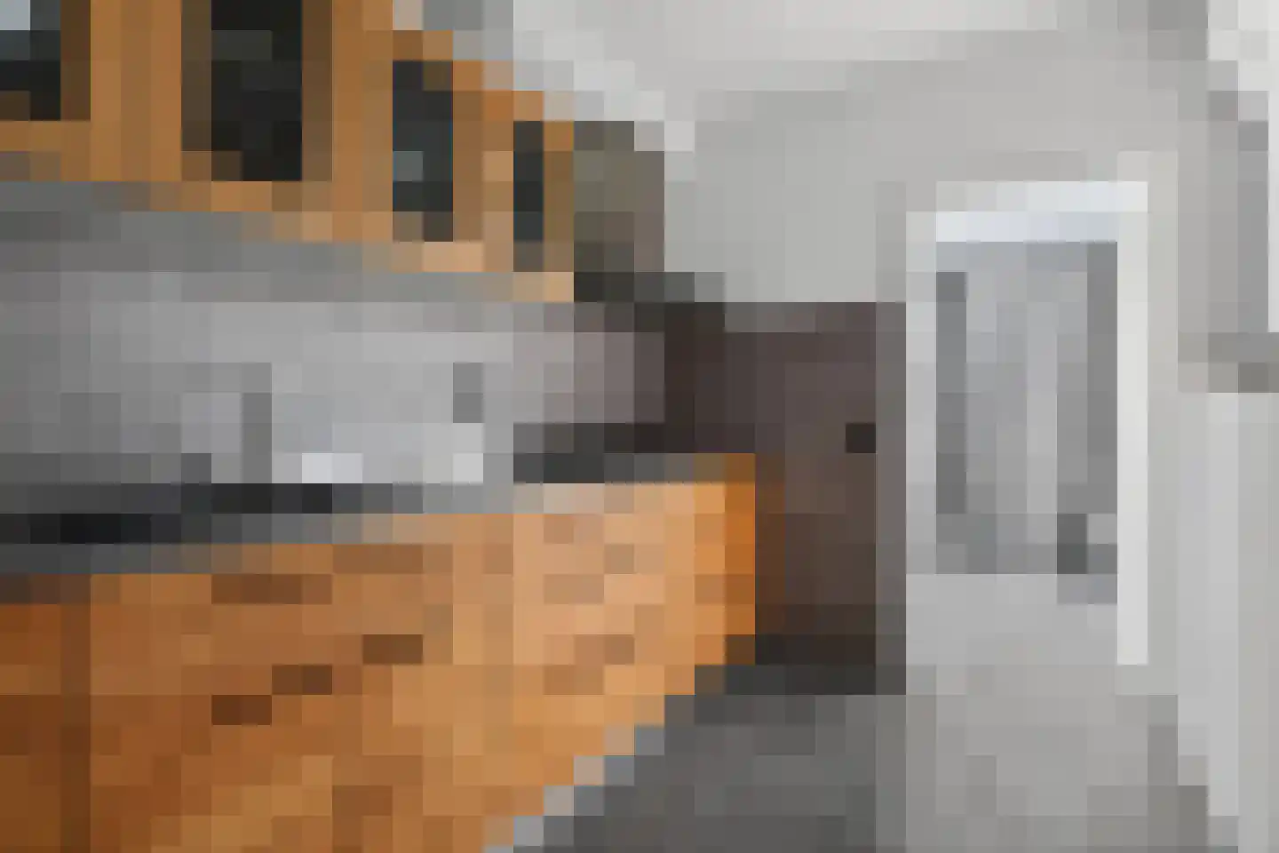 Fitissingel 188 Deurne thumbnail 19