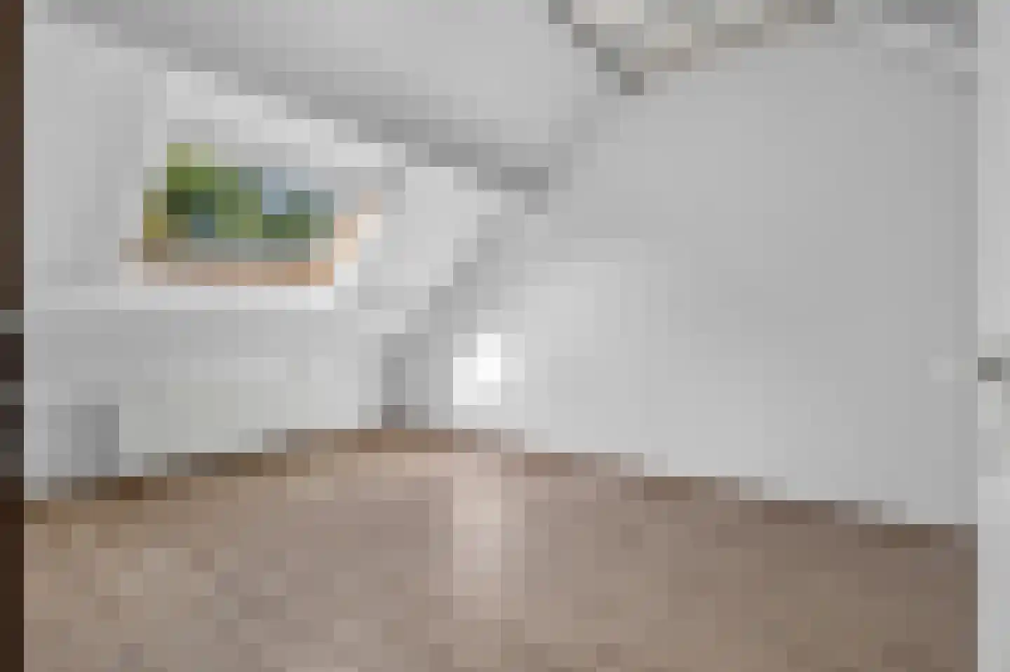 Fitissingel 188 Deurne thumbnail 30