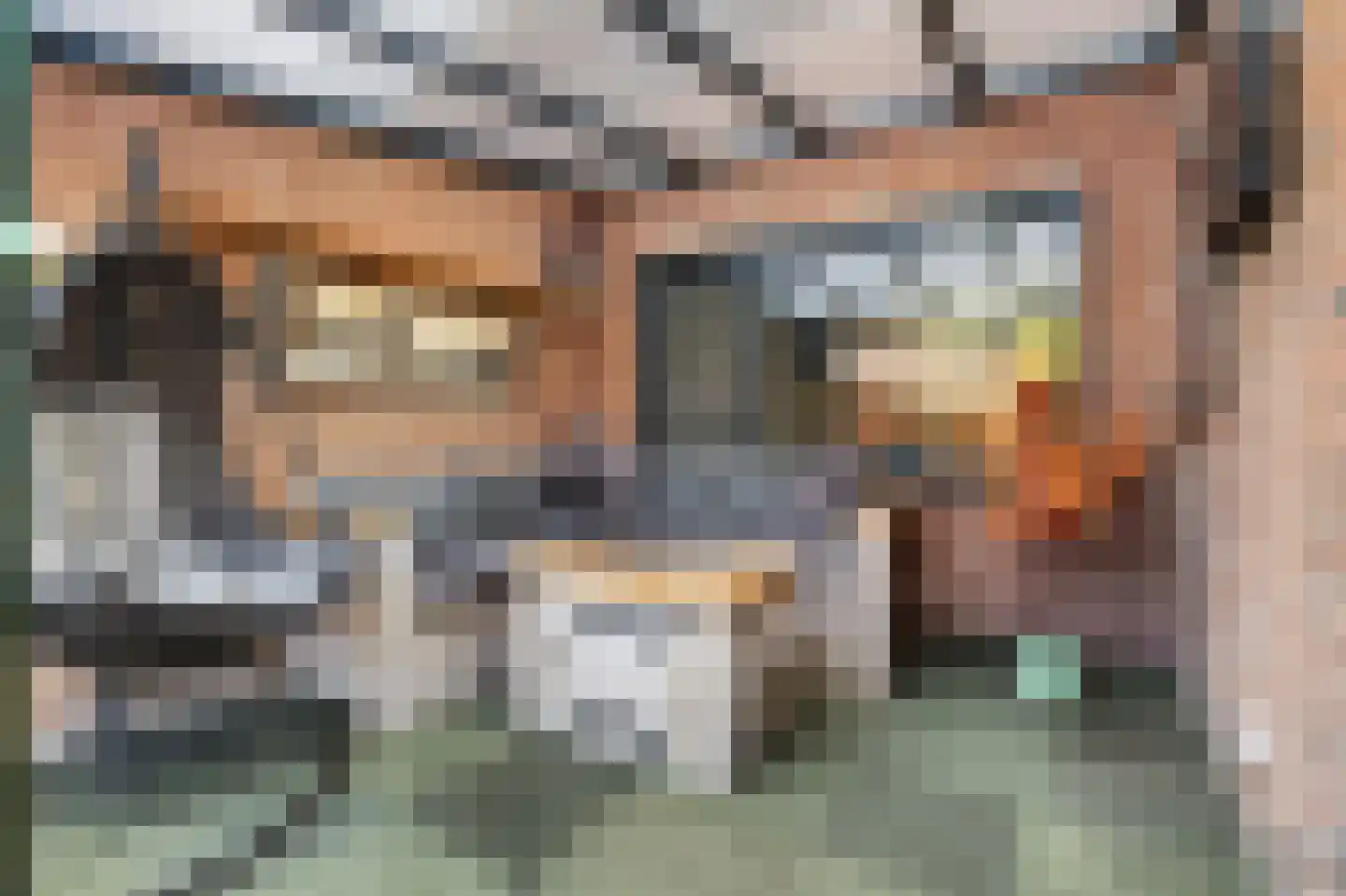 Fitissingel 188 Deurne thumbnail 35